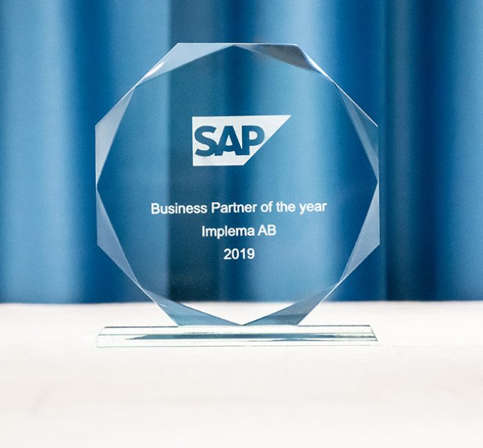 SAP Business Partner of the year