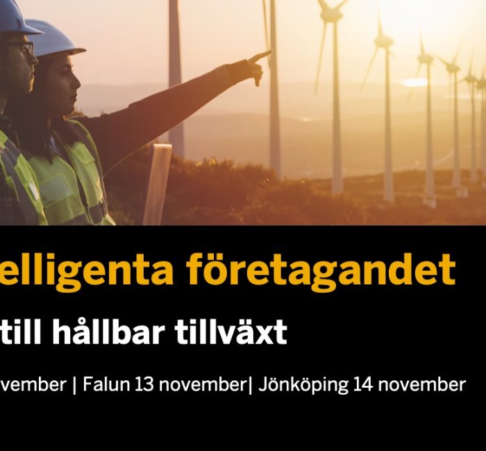 Implema Med Pa SAP Roadshow 12 14 Nov