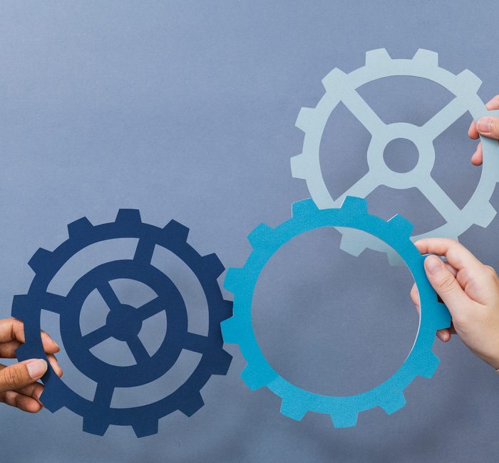 Cogwheel Business Productivity Symbol Held By Hands Downscale